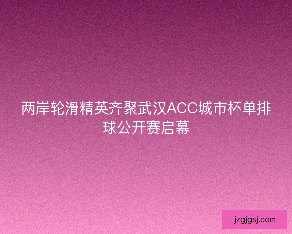 两岸轮滑精英齐聚武汉ACC城市杯单排球公开赛启幕
